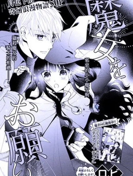 魔女就拜托给你了