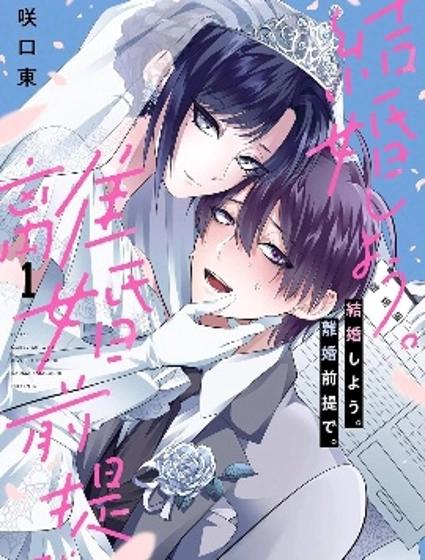 結婚吧。以離婚為前提。